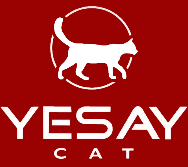 YesayCat